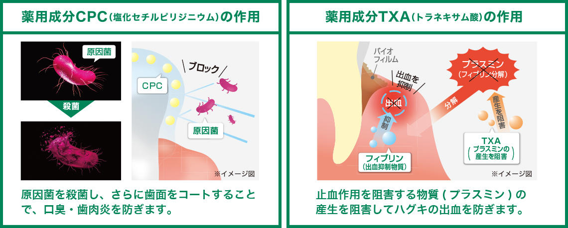 ガム・ナイトケアリンス ［ナイトハーブタイプ］│オーラルケア│サン